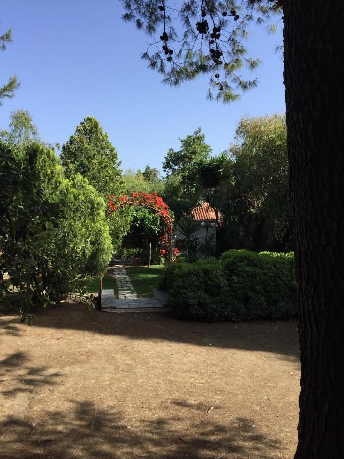 Alykes Park Bungalows エクステリア 写真